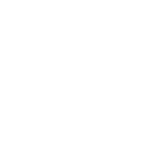 Securo Protect Logo
